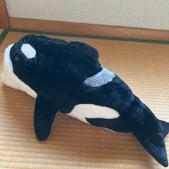 シャチの大きいぬいぐるみ