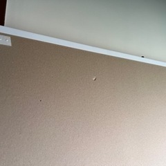だんぼっちトールの画像