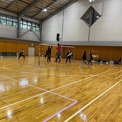 ソフトバレーボール メンバー募集