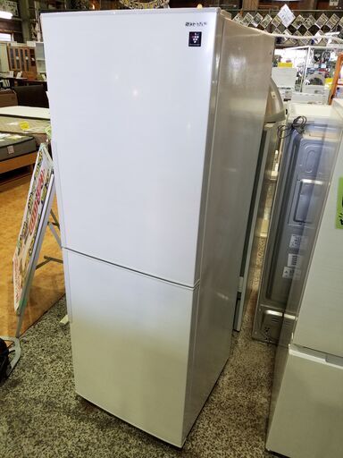 ✨安心の除菌洗浄済✨SHARP 2020年製 280L 2ドア冷蔵庫 SJ-PD28F-W【愛市IR015927-104】