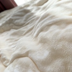 シングル　敷きパッド　ニトリ　Nウォーム　モイスト　冬の画像