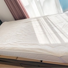 敷きパッド　シングル　ニトリ　Nウォーム