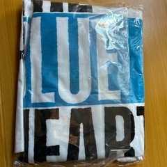THE BLUE HEARTS  ブルーハーツ Tシャツ　の画像