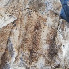 裏・毛皮ラビットのジャケットの画像