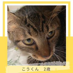 🌱シュッとしたお顔のイケメンくん🌱　