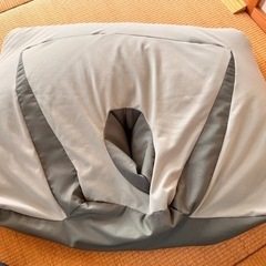 NeOchi PillOwの画像