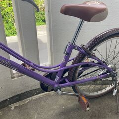 22インチ　子供用自転車（パープル、AVIGO）の画像