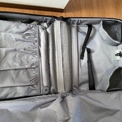 Delsey デルセー　スーツケースの画像