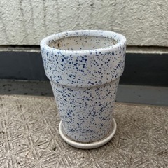 鉢植え　3点