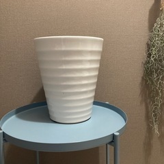 陶器の鉢　ホワイトCの画像