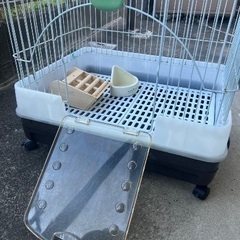 うさぎ飼育セットの画像