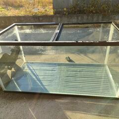 あげます! 90cm水槽•60cm水槽 の画像