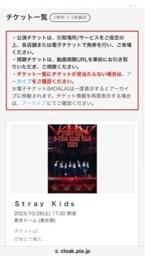 straykids ストレイキッズ 東京ドーム ツアー コンサート チケット