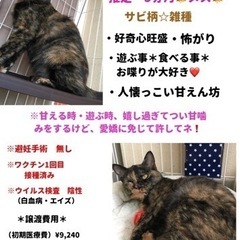優しい里親様の元に譲渡されました！