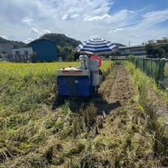 令和5年度　兵庫県姫路市林田産　検査済み1等米キヌヒカリの画像