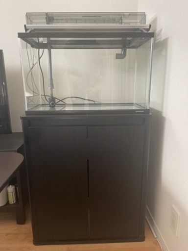 アクアリウム　水槽60cm  セット売り