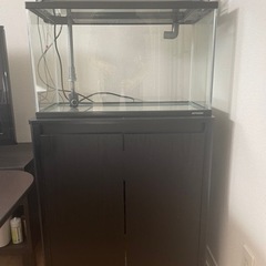 アクアリウム　水槽60cm  セット売り