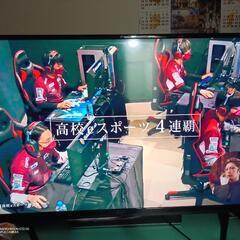 テレビ６０インチ