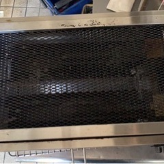 サラマンダーの画像