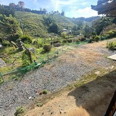 初期費用０円の一軒家です!!ペットOK！リフォーム済み！敷金、礼金、更新料なし - 不動産