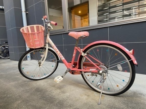 子供用自転車　ブリヂストン　エコパル　22インチ