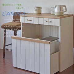 キッチンカウンター　台所収納　ゴミ箱収納