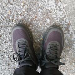 洋服3点とスニーカー2点の画像