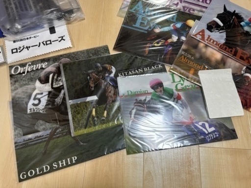 コレクション 競馬グッズ 14点 JRA ヒーロー列伝 馬 クリアファイル 14