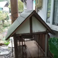 手作り、犬小屋の画像