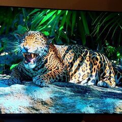 値引きしました！！！【訳あり】引取限定　美品 ★ LG・OLED TV・4K ★ 55 inch OLED55C9Pの画像