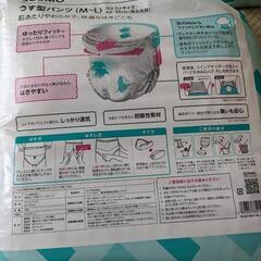 介護用紙パンツ【大人用M〜L38枚入】1袋の画像