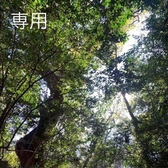 【取引中】受付終了＊木箱セットの画像