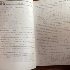 「立命館宇治中学校 ２０２2年度受験用」一部書き込みありの画像