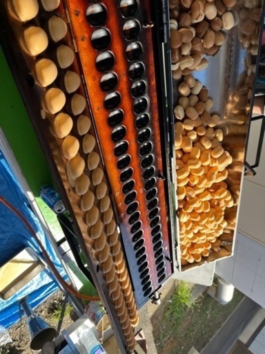 ベビーカステラ