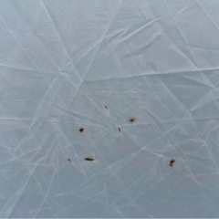 テントの画像