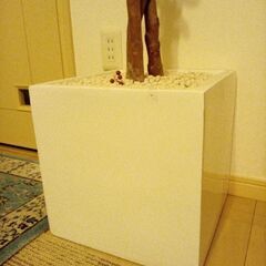 高級大型フェイクグリーン①の画像
