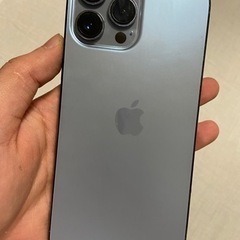 iphone 13 pro max 256