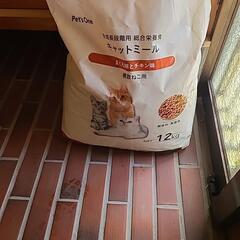 猫ごはんの画像