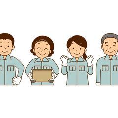 誰でもカンタン🌟チルド食品の仕分け作業！【スキマで働ける♬】