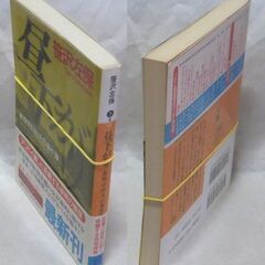 【文庫人気古本】笹沢佐保「昼下がり【夜明日出夫の事件簿】(第1刷・帯有り)」・・・タクシーに乗り込んできた美女の背後には、巧妙な罠が潜んでいた・・・の画像