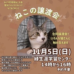 猫　譲渡会　名古屋