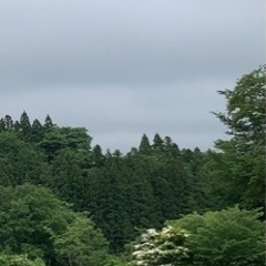 集草アルバイト（2日間/友人同士可）