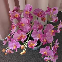 ☆光触媒☆造花3本立ちピンク胡蝶蘭☆自宅保管品の画像