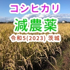 農薬低減 コシヒカリ 10kg 令和5年(2023) 茨城 おこ...