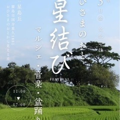 11月3日