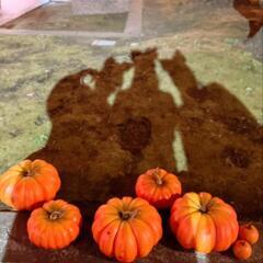 🎃10.28(土)立川でハロウィン飲み会しょ🕷👻 - 立川市