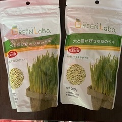 猫草のタネ✖️2
