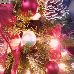 【中古】クリスマスツリーの画像