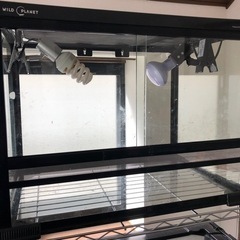 中古品ガラス爬虫類ケージ60✖️45✖️45ライト付き