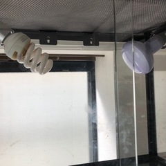 中古品ガラス爬虫類ケージ60✖️45✖️45ライト付きの画像